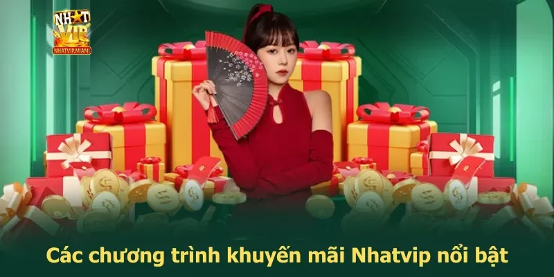 Các chương trình khuyến mãi Nhatvip nổi bật